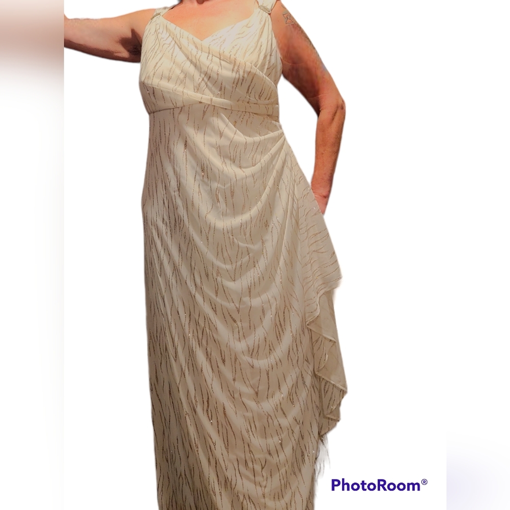 R&m Richards floor length gown size 14